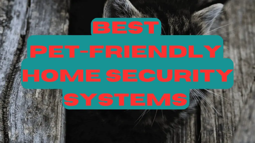 Best Pet-Friendly Home Security Systems